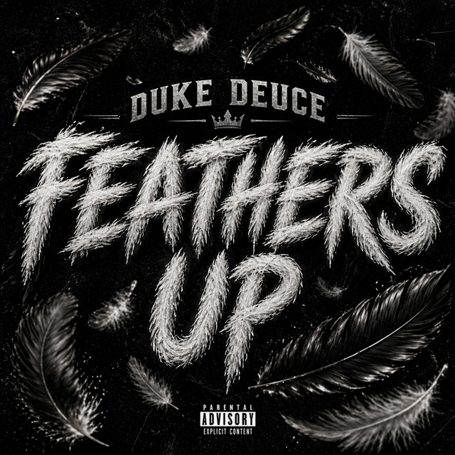 'Feathers Up' cover art