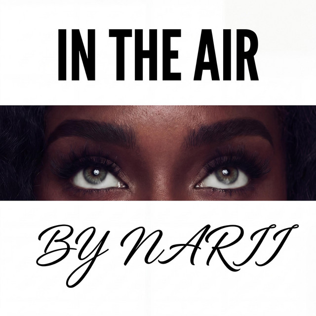 'IN THE AIR COVER' cover art