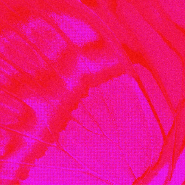 'escape' cover art