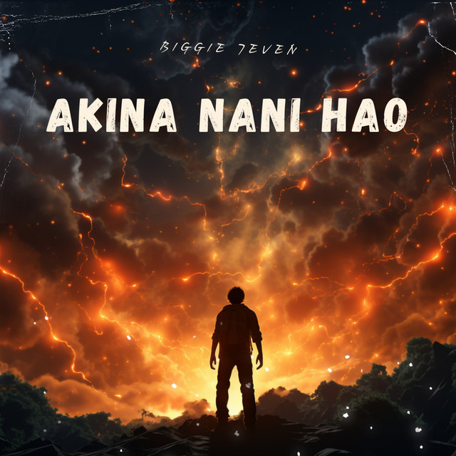 'AKINA NANI HAO' cover art