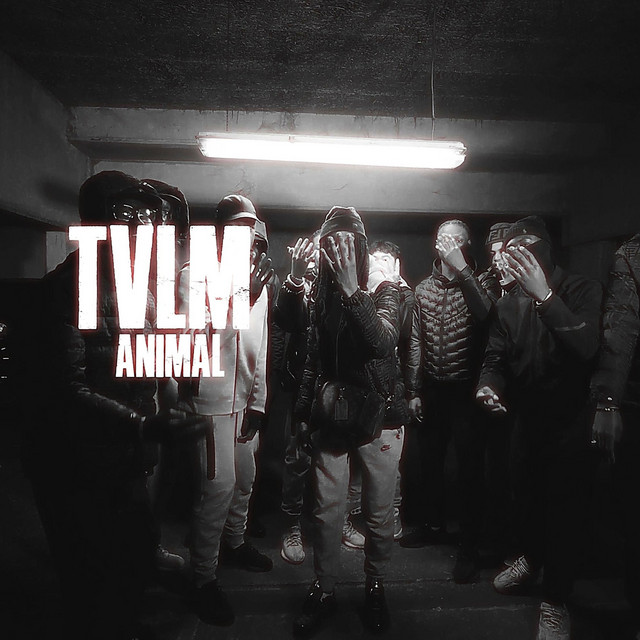 'Animal' cover art