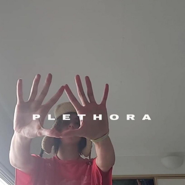 'plethora (deluxe)' cover art