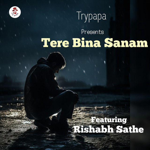 'Tere Bina Sanam' cover art