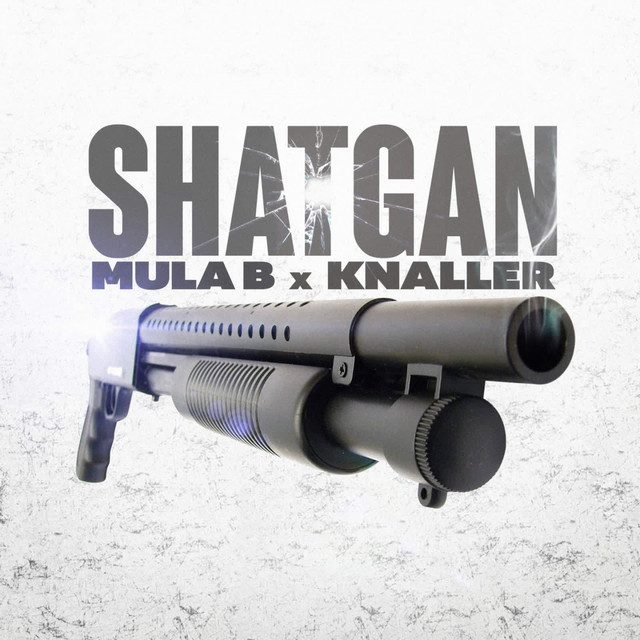 'Shatgan' cover art