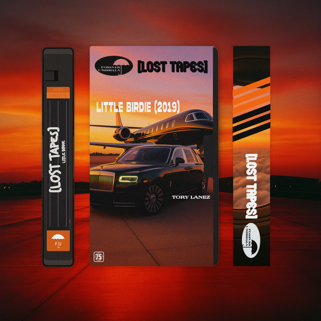 'Little Birdie (Lost Tapes 2019)' cover art