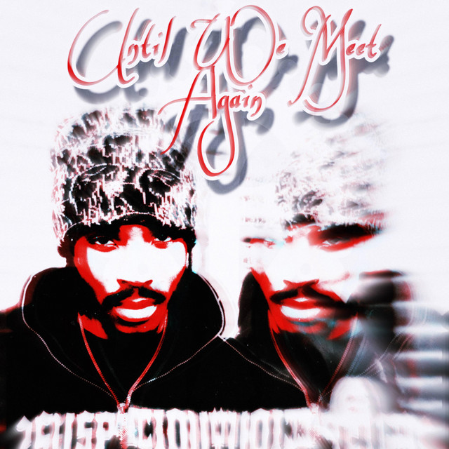 'Until We Meet Again' cover art