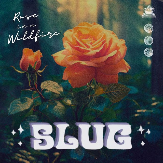 'Rose in a Wildfire' cover art