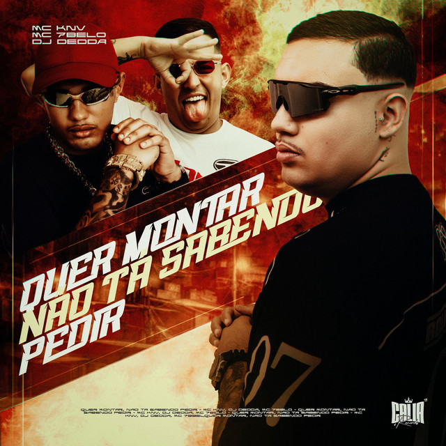 'Quer Montar, Não Ta Sabendo Pedir' cover art