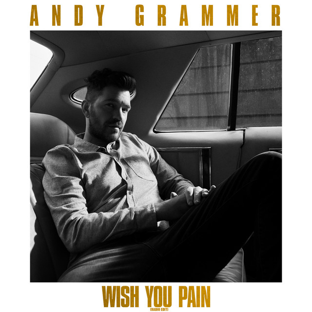 'Wish You Pain (Radio Edit)' cover art