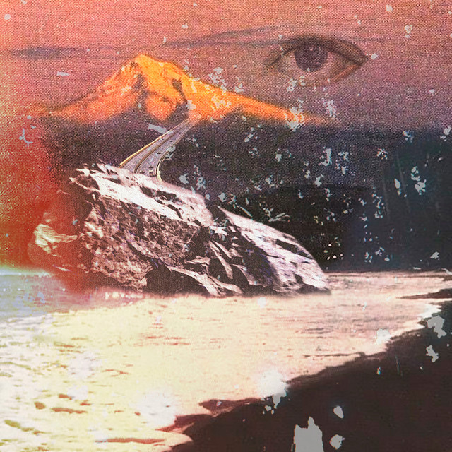 'wildflower' cover art