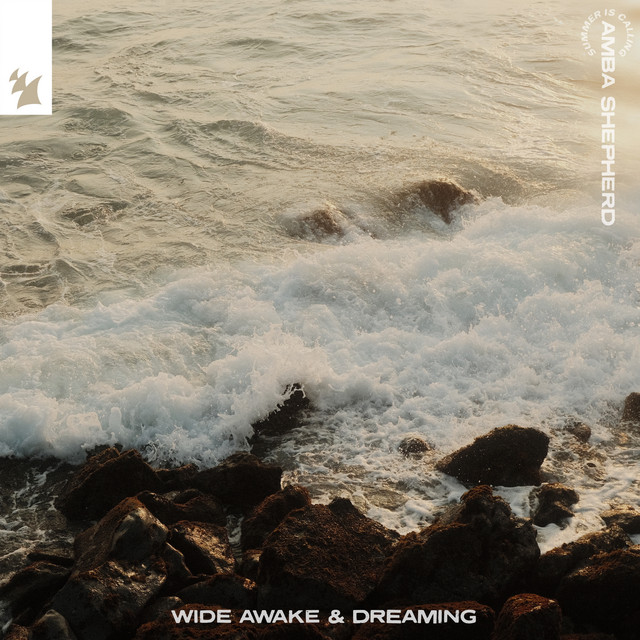 'Wide Awake & Dreaming' cover art