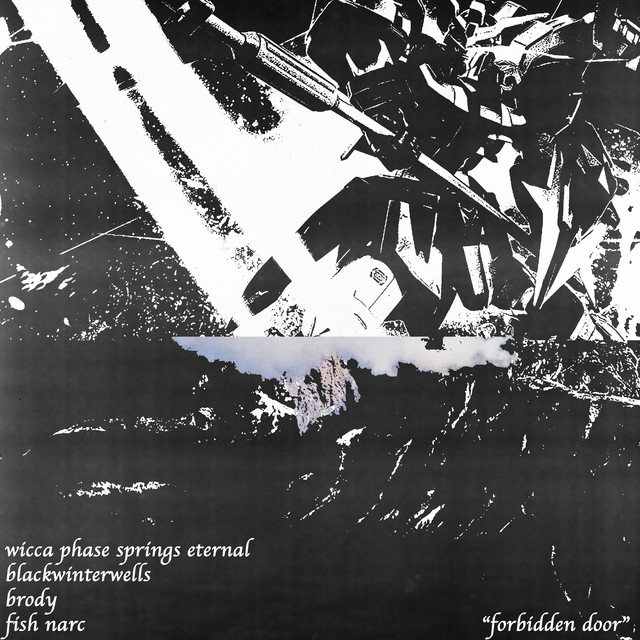 'Forbidden Door' cover art