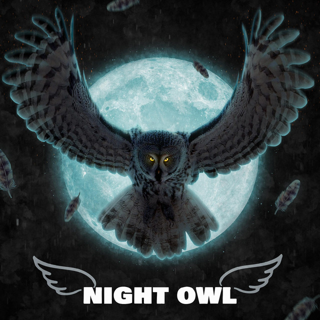 'Night Owl' cover art
