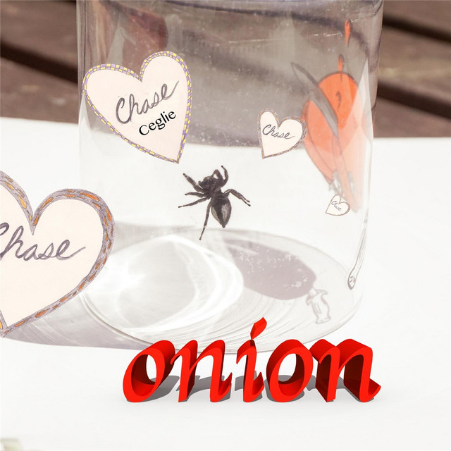 'Onion' cover art