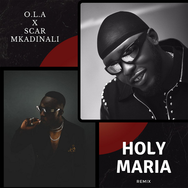 'Holy Maria (Remix)' cover art