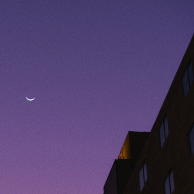 'into dusk' cover art