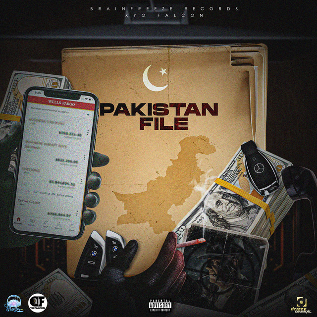 'Pakistan File' cover art