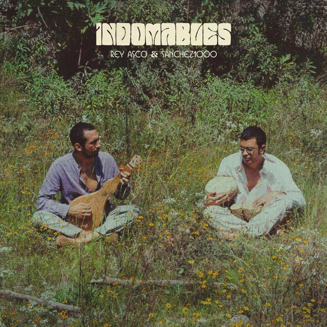 'Indomables' cover art