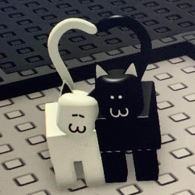 'eveut mon hoodie' cover art