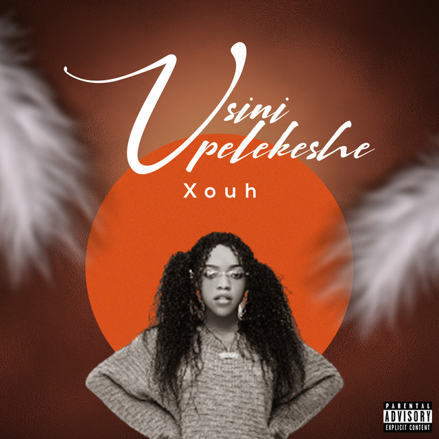 'Usinipelekeshe' cover art