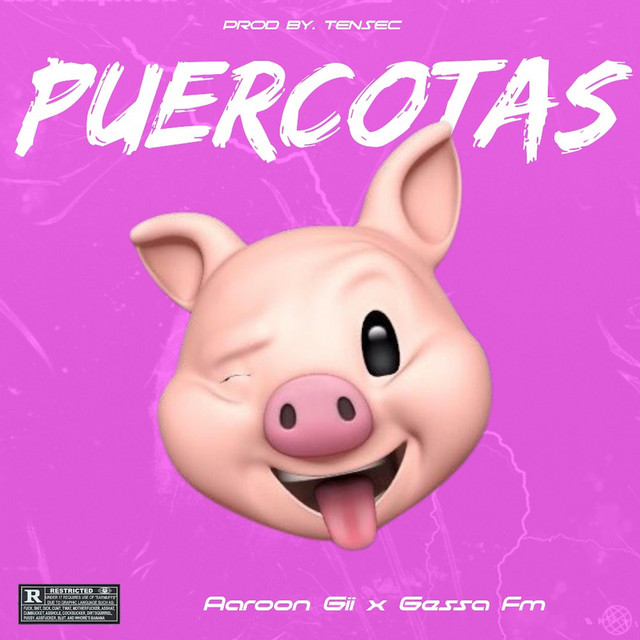 'Puercotas' cover art