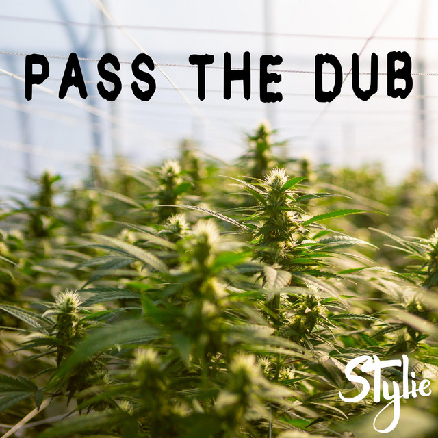'Pass the Dub' cover art