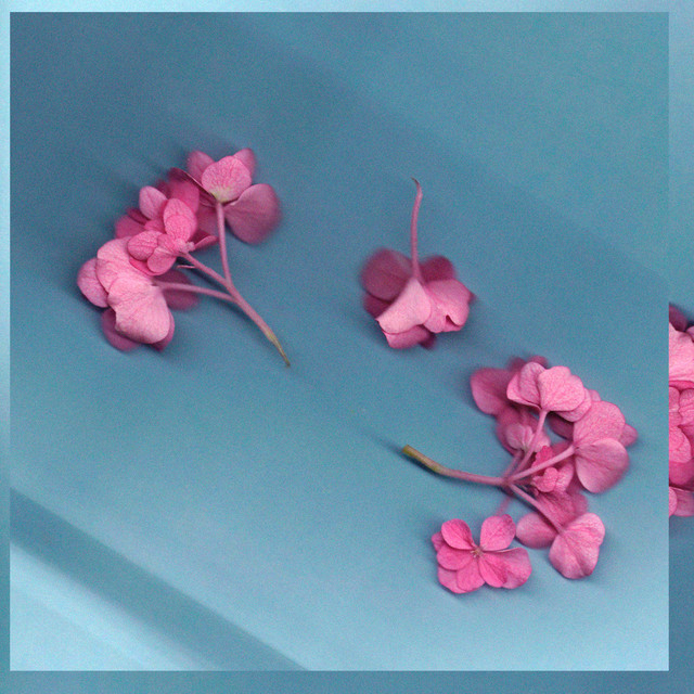'park bench' cover art