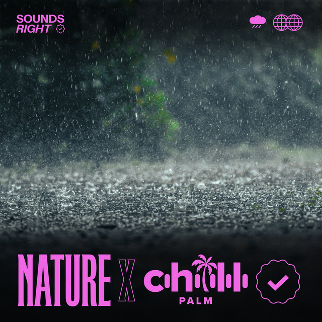 'Soothing Rain Songs' cover art