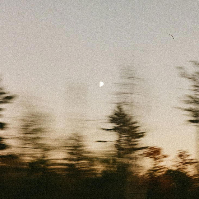 'I Wish I Loved Myself' cover art