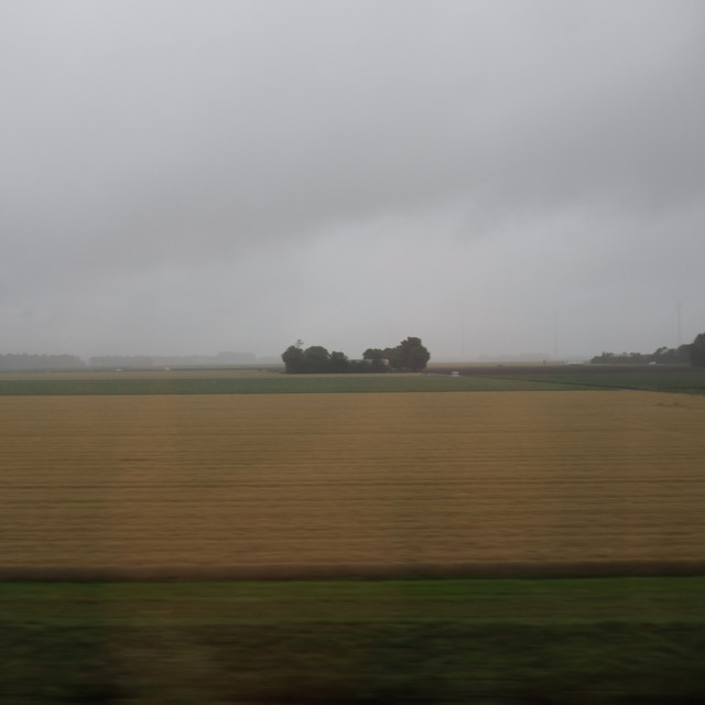 'Train to Amsterdam' cover art