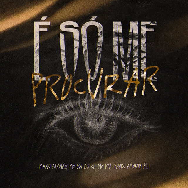 'É Só Me Procurar' cover art