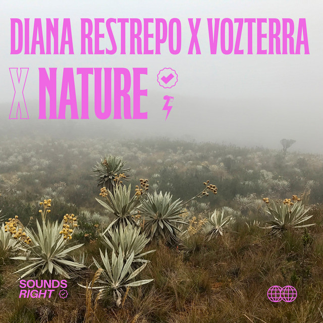'El Páramo, Permission to Record' cover art