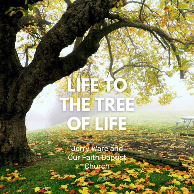 'Life To The Tree Of Life' cover art