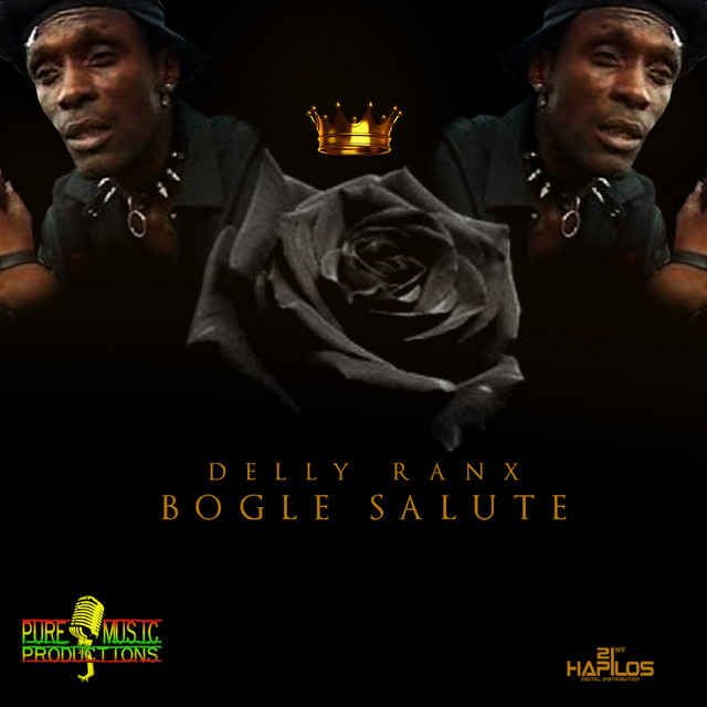 'Bogle Salute - Single' cover art
