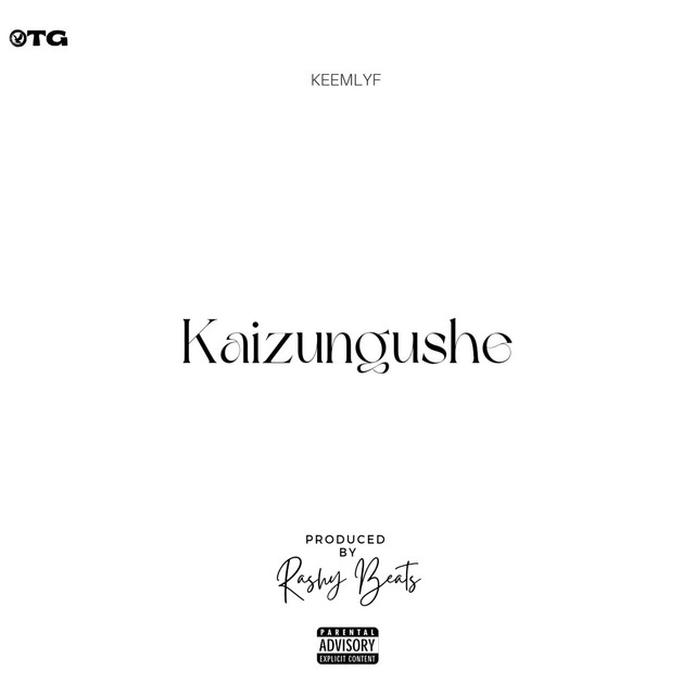 'Kaizungushe' cover art