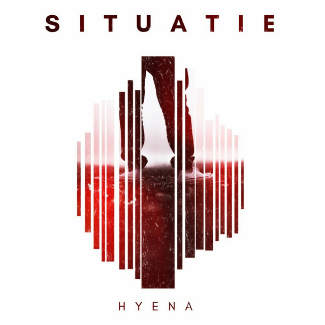 'Situatie' cover art
