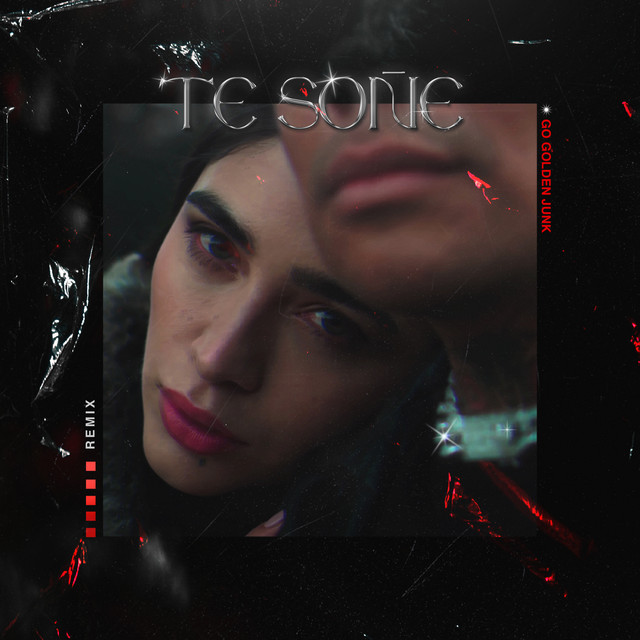 'Te Soñé (Remix)' cover art
