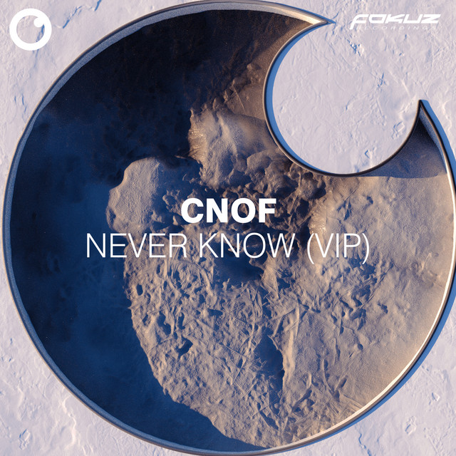 'Never Know (VIP)' cover art