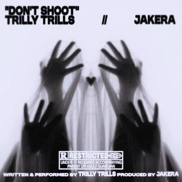 'Don't Shoot' cover art