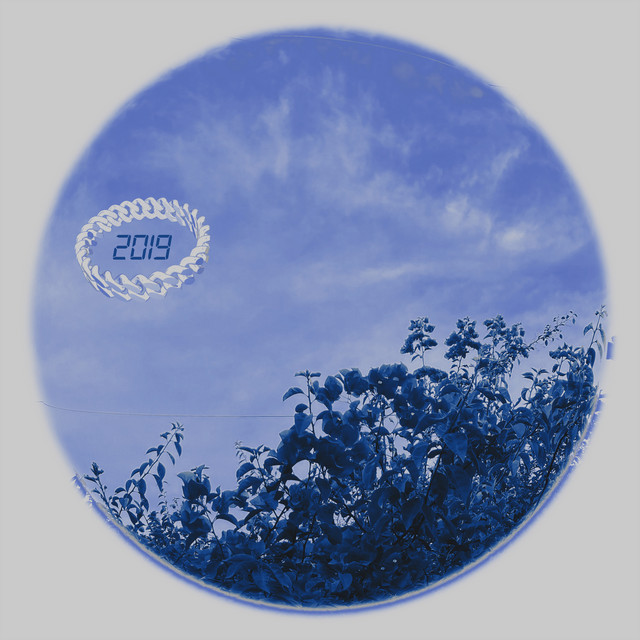 '2019' cover art