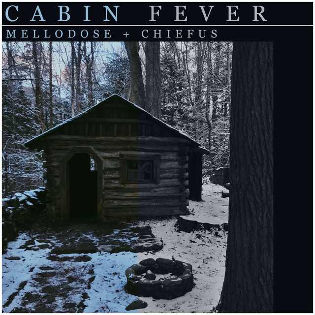 'Cabin Fever' cover art