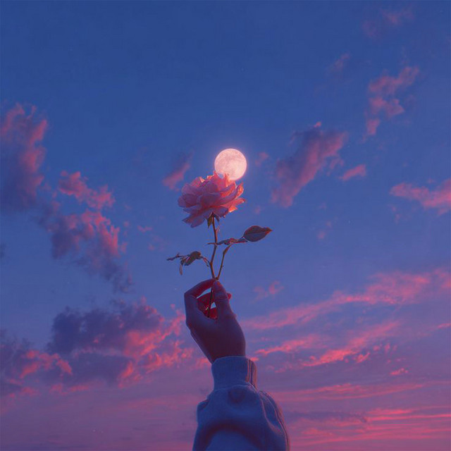 'Moonlight Bloom' cover art