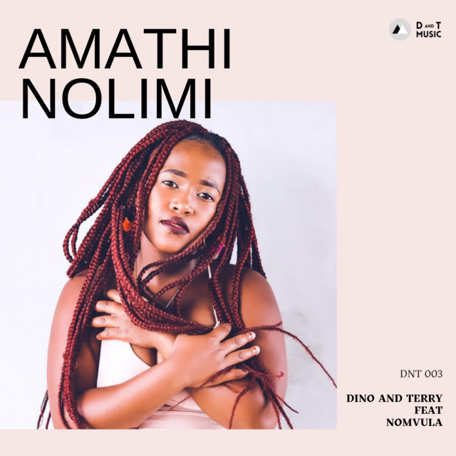 'Amathi Nolimi' cover art