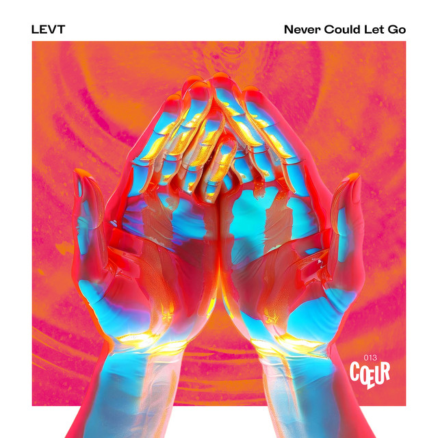 'Never Could Let Go' cover art