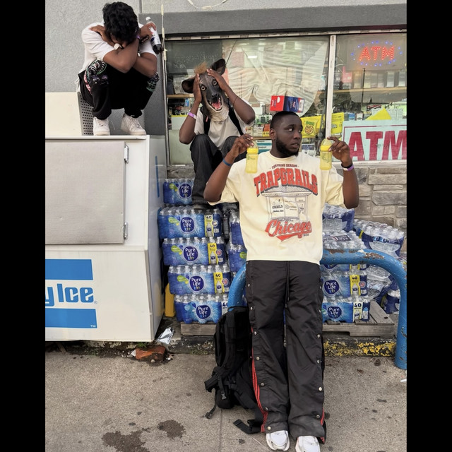 'Too Much Bip' cover art