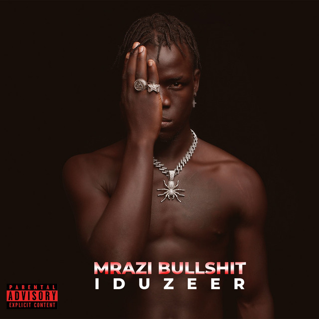 'Mrazi Bullshit' cover art
