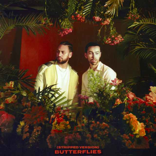 'Butterflies (Stripped Version)' cover art