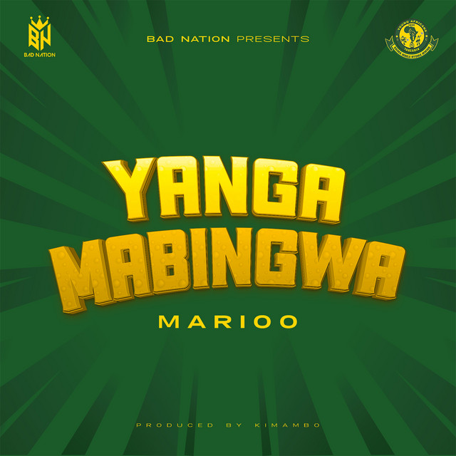 'Yanga Mabingwa' cover art