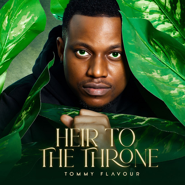 'Heir To The Throne' cover art