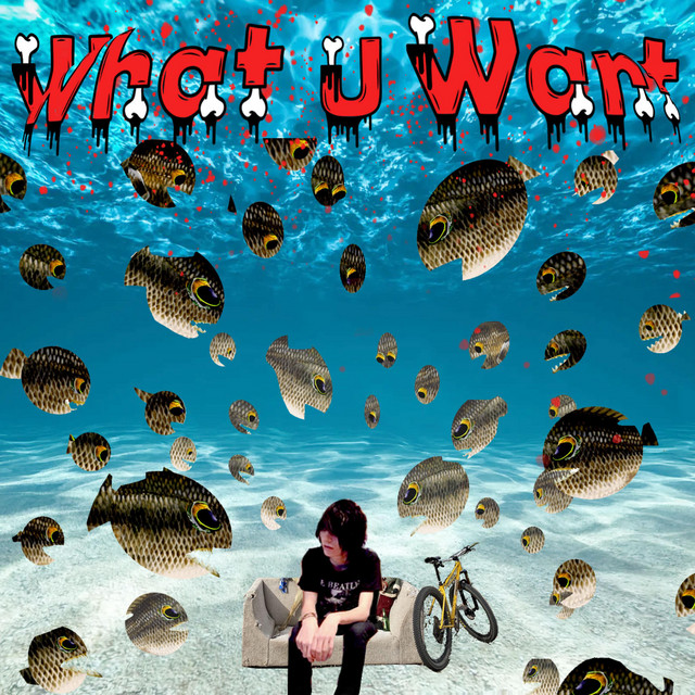 'what u want (lonestar)' cover art